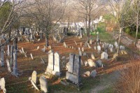 /album/fotogalerie-mikulov1/zidovsky-hrbitov-4-jpg/